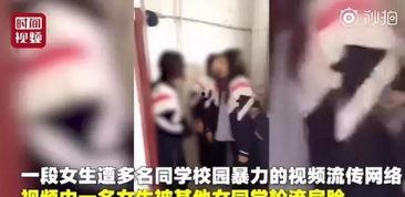 石家庄爆料女子被打视频,街头暴力冲突引发社会关注